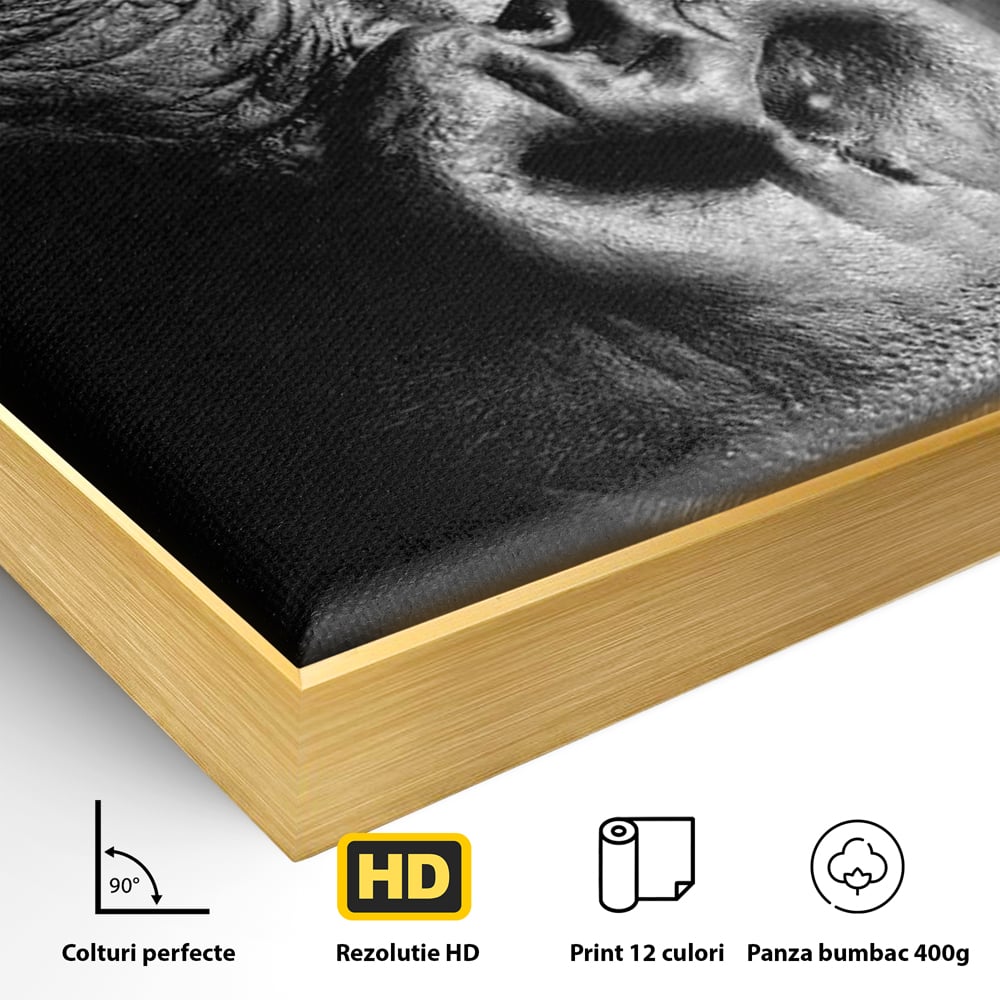 Detaliu al suprafetei: tablou canvas cu portret de gorila, in rama de aluminiu auriu